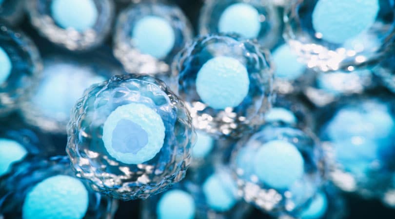 自體干細胞與異體干細胞治療糖尿病有哪些差異？