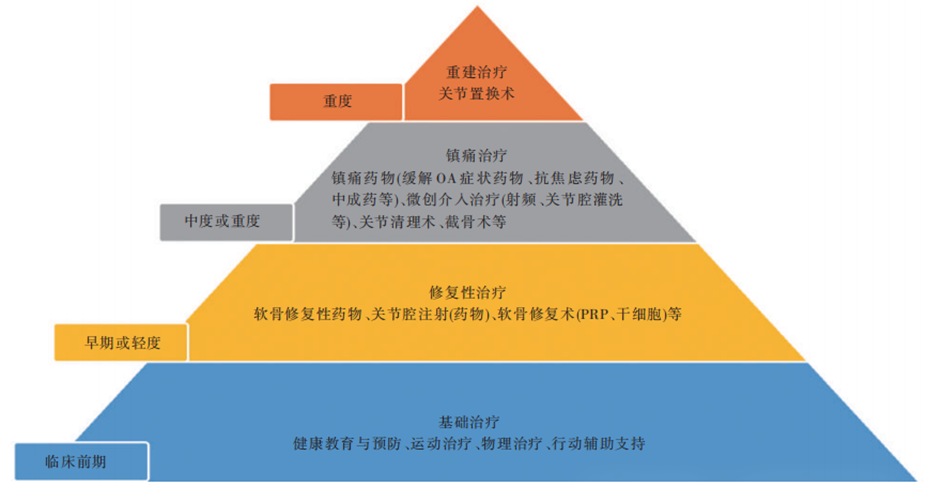 中國骨關(guān)節炎診療指南(2024 版) 中國骨關(guān)節炎診療指南(2024 版)
