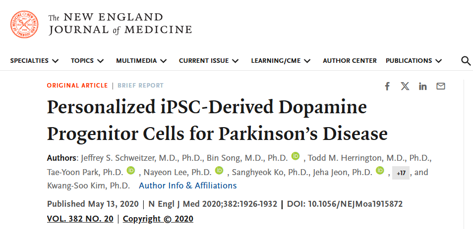 個(gè)性化 iPSC 衍生的多巴胺祖細胞用于治療帕金森病