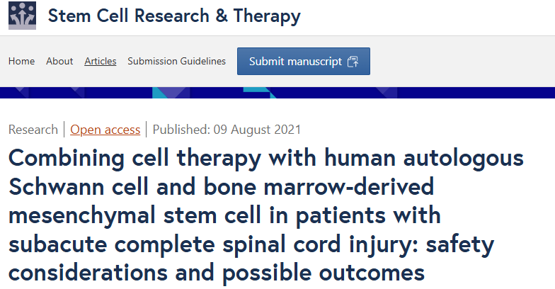 亞急性完全性脊髓損傷患者聯(lián)合使用人自體雪旺細胞和骨髓間充質(zhì)干細胞進(jìn)行細胞治療