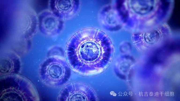 干細胞大揭秘：胚胎與成體干細胞的知識及其在復雜疾病中的應用全解析