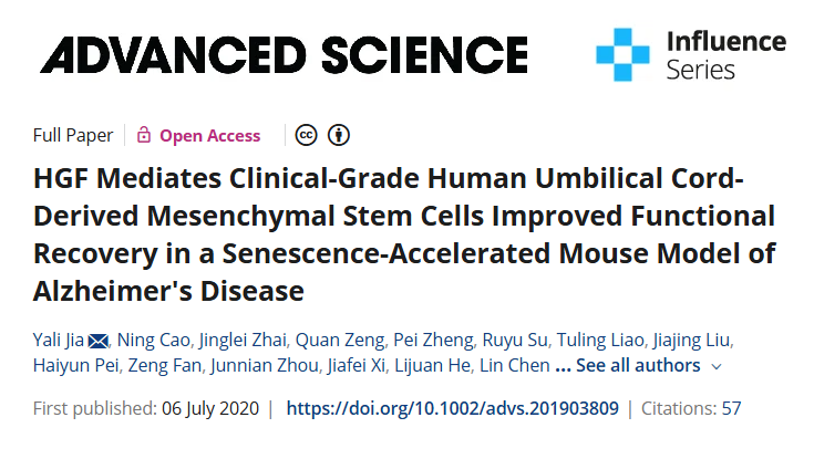 HGF 介導臨床級人臍帶間充質(zhì)干細胞改善阿爾茨海默病衰老加速小鼠模型的功能恢復