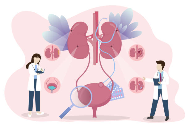 探索干細胞療法：真的能減少腎病患者的透析頻率嗎？