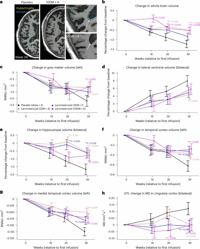 使用 laromestrocel 與使用安慰劑治療的 AD 患者的體積 MRI 評估。