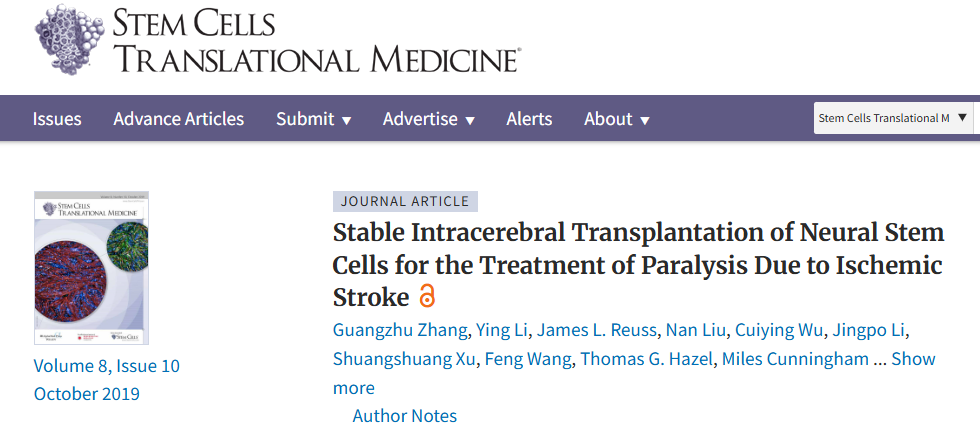 神經(jīng)干細胞穩定腦內移植治療缺血性中風(fēng)所致癱瘓 神經(jīng)干細胞穩定腦內移植治療缺血性中風(fēng)所致癱瘓
