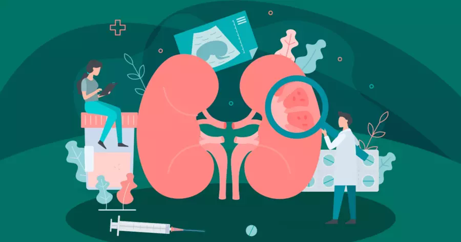 干細胞治療腎?。簽楹卧缤砥诏熜Р町悜沂?？關(guān)鍵機制揭秘