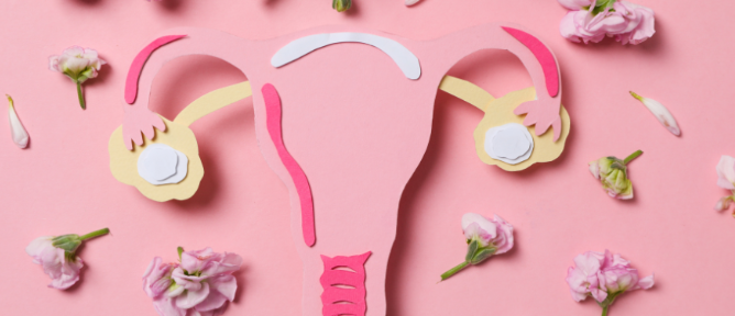 干細胞治療卵巢早衰：如何實(shí)現短期卵巢功能改善到長(cháng)期卵巢組織的恢復？