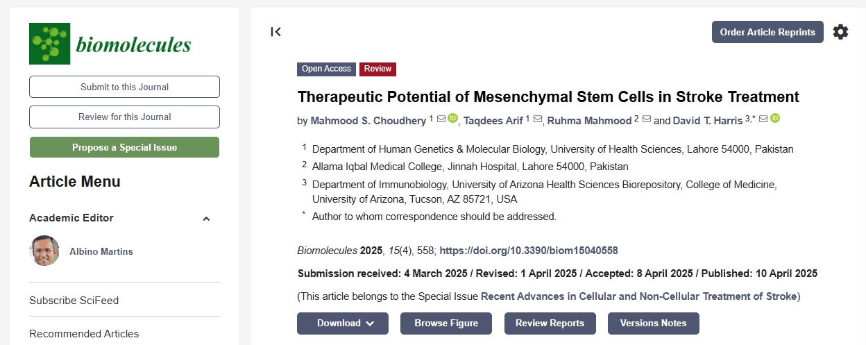 間充質(zhì)干細胞在中風(fēng)治療中的治療潛力