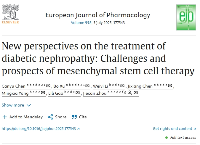 糖尿病腎病治療的新視角：間充質(zhì)干細胞治療的挑戰與前景