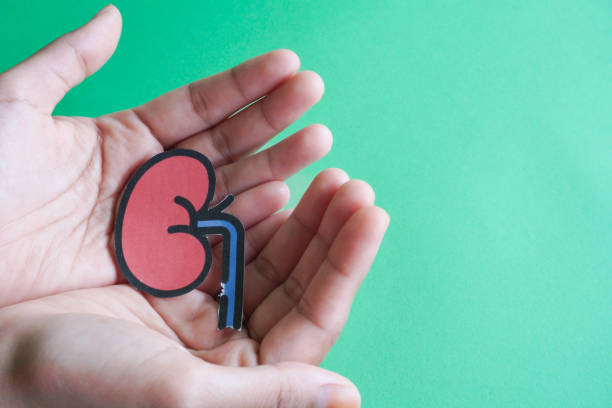 自體vs異體：不同來(lái)源的干細胞治療腎病患者的安全性有區別嗎？