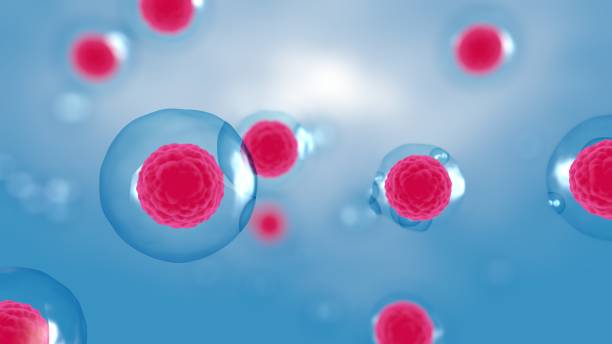 間充質(zhì)干細胞雙機制協(xié)同：免疫調節＋旁分泌活性解鎖自身免疫疾病治療新維度