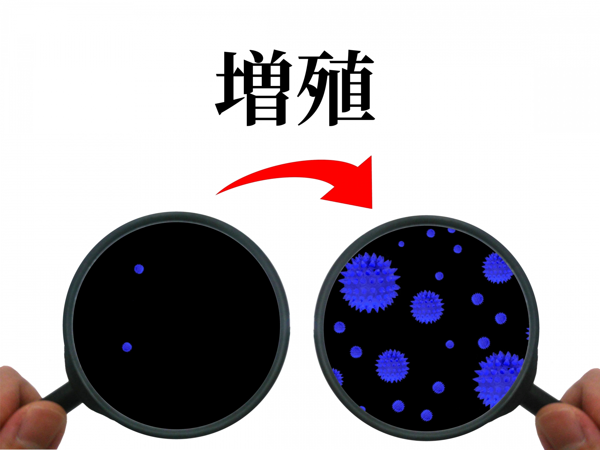 神經(jīng)膠質(zhì)細胞