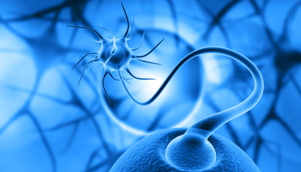 衰老中的神經(jīng)干細胞，如何利用神經(jīng)干細胞治療衰老相關(guān)疾??？