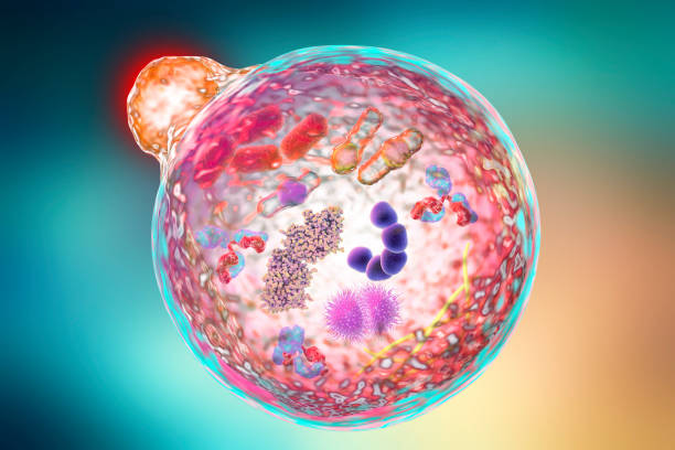 治愈疾病的建筑師(細胞):細胞療法的醫學(xué)發(fā)展史?