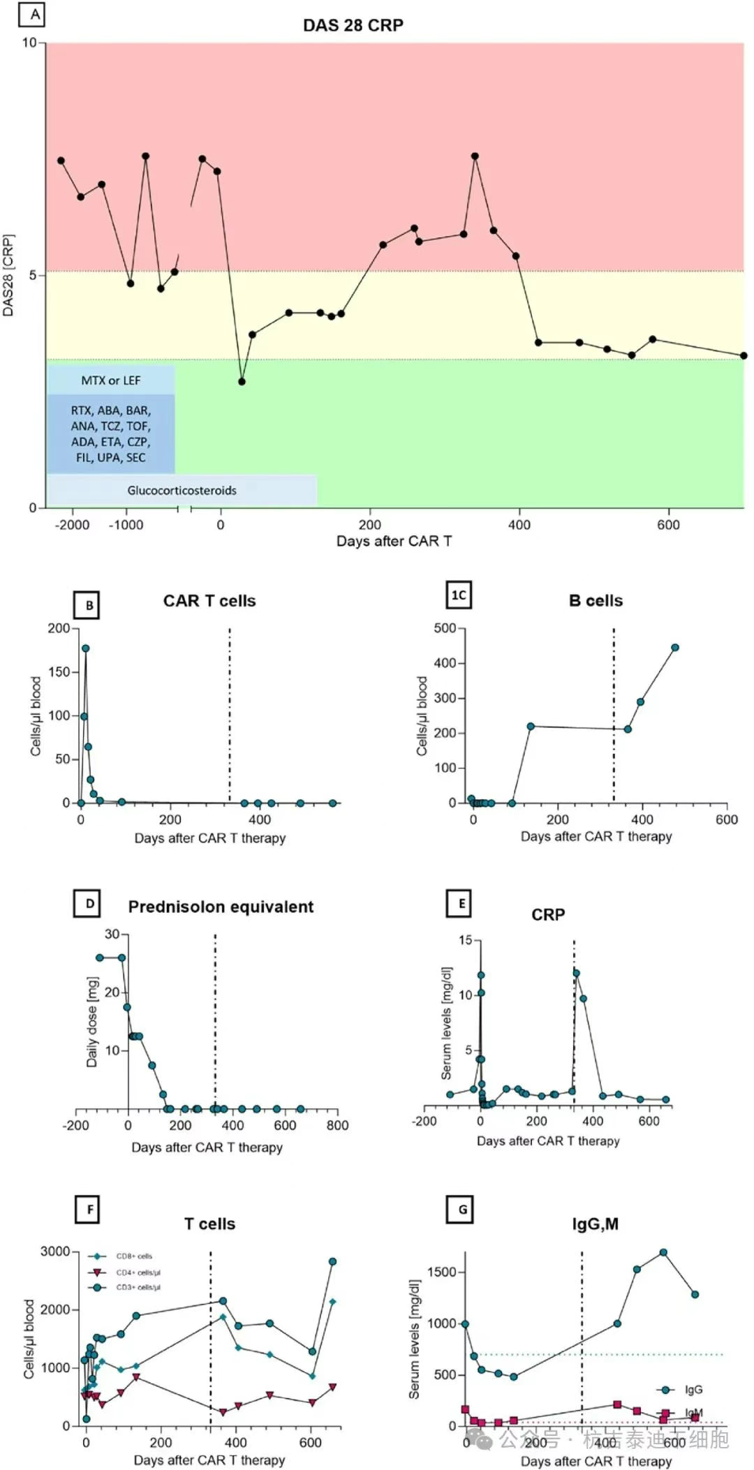 圖1：通過(guò)DAS28和依次給予的伴隨藥物測量的CAR-T細胞療法和HSCT在RA疾病活動(dòng)性方面的結果