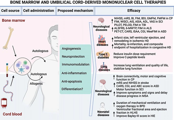 圖1：BMMNC和UCB-MNC的潛在應用。