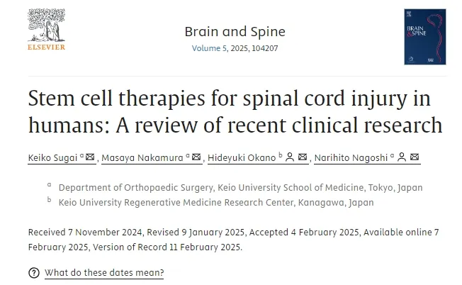人類(lèi)脊髓損傷的干細胞療法：近期臨床研究進(jìn)展與轉化路徑分析