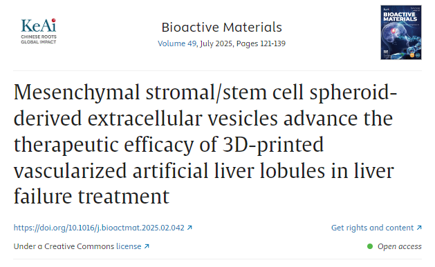間充質(zhì)基質(zhì)/干細胞球體衍生的細胞外囊泡提高3D打印血管化人工肝小葉在肝衰竭治療中的療效