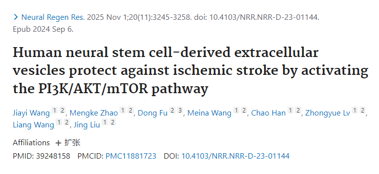人類(lèi)神經(jīng)干細胞來(lái)源的細胞外囊泡通過(guò)激活PI3K/AKT/mTOR通路發(fā)揮抗缺血性卒中的保護作用