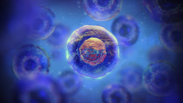 間充質(zhì)干細胞一針多少錢(qián)？2025年價(jià)格全景圖與避坑指南