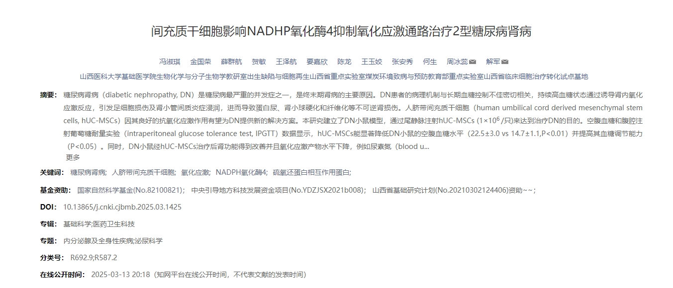 間充質(zhì)干細胞影響NADHP氧化酶4抑制氧化應激通路治療2型糖尿病腎病