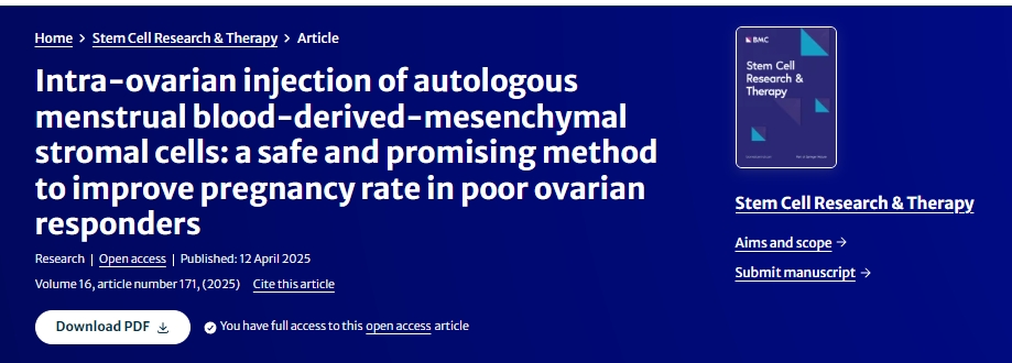 卵巢內注射自體月經(jīng)血來(lái)源的間充質(zhì)基質(zhì)細胞：一種安全且有前景的提高卵巢反應不佳者妊娠率的方法
