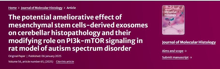 間充質(zhì)干細胞衍生的外泌體對自閉癥譜系障礙大鼠小腦組織病理學(xué)的潛在改善作用及其對 PI3k-mTOR 信號傳導的調節作用