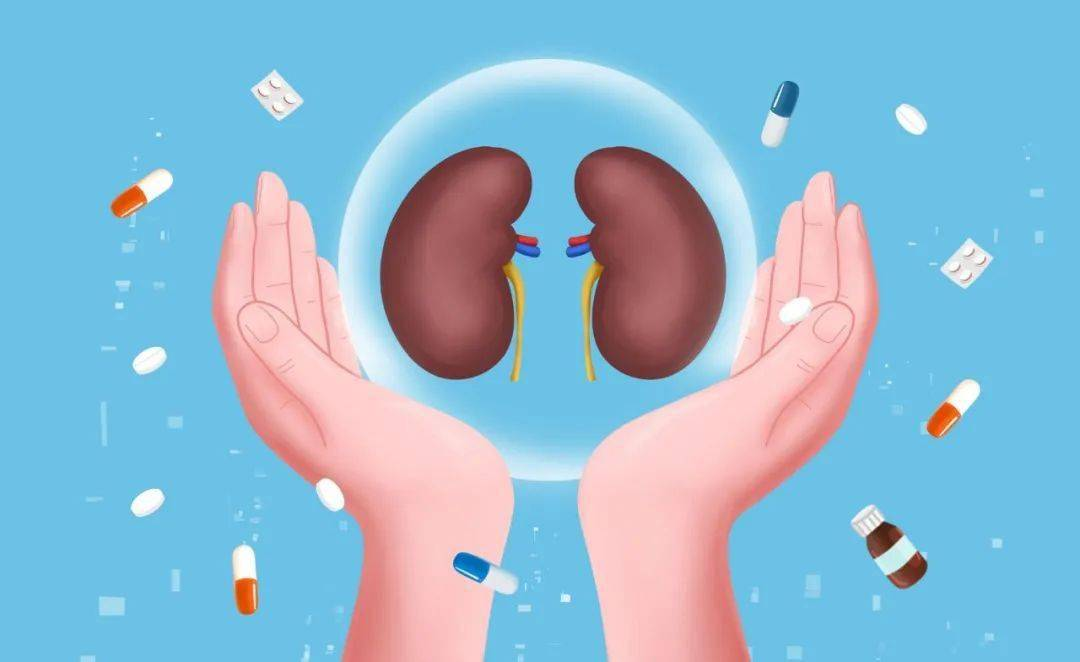 干細胞治療腎病國家叫停了？科學(xué)爭議與政策博弈背后的真相