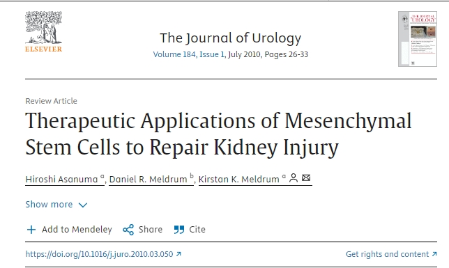 間充質(zhì)干細胞在修復腎臟損傷的治療應用