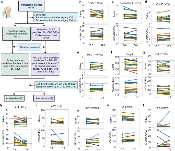 圖4：霧化hUCMSC-EVs對肺纖維化患者的臨床安全性。