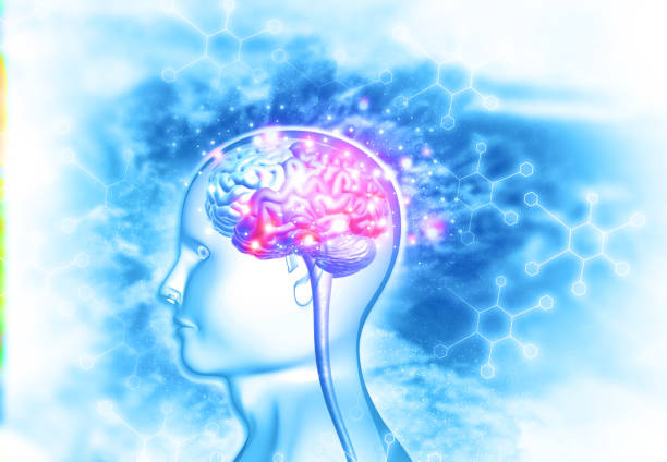 腦出血治療新希望：間充質(zhì)干細胞治療臨床安全有效？最新證據來(lái)了