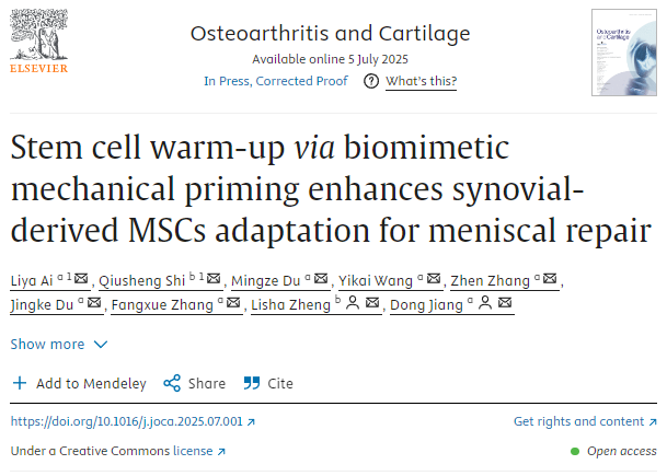 通過(guò)仿生機械啟動(dòng)進(jìn)行干細胞預熱
可增強滑膜來(lái)源的MSCs對半月板修復的適應性