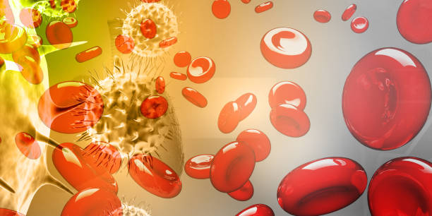 上海有哪些醫院開(kāi)展了干細胞治療血液病與腫瘤的研究？