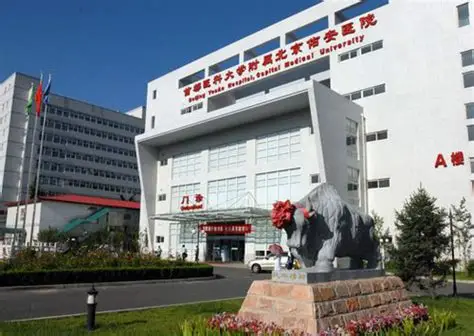 首都醫科大學(xué)附屬北京佑安醫院 首都醫科大學(xué)附屬北京佑安醫院