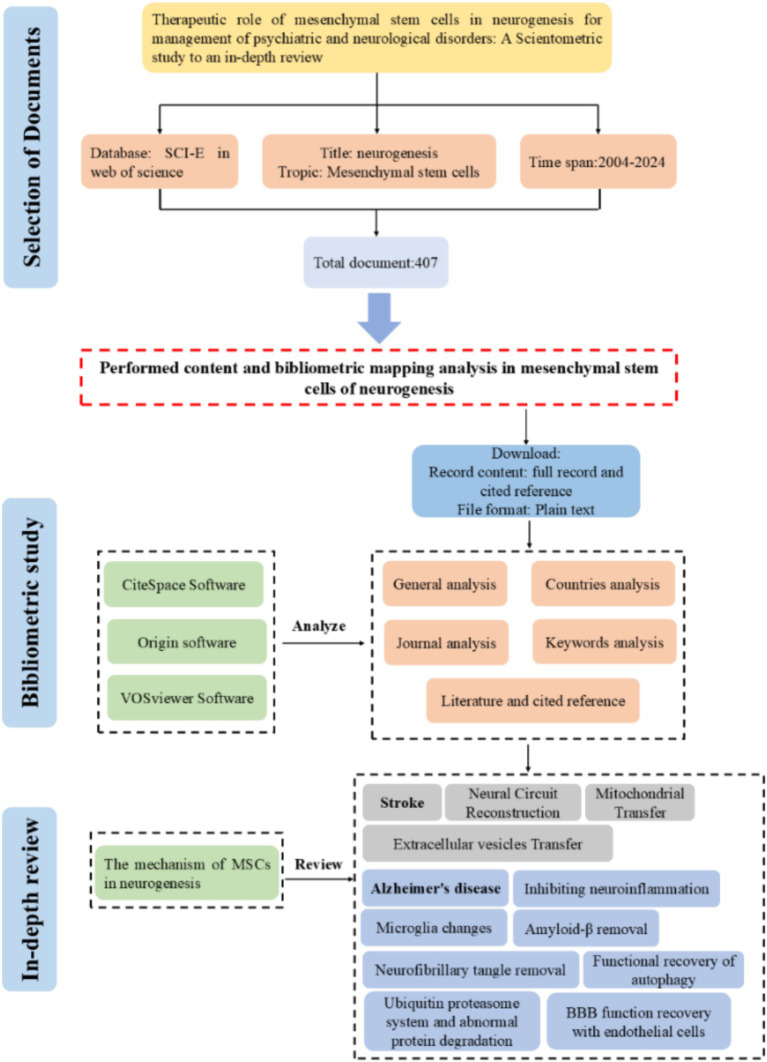 圖1：間充質(zhì)干細胞在神經(jīng)發(fā)生方面的研究工作流程