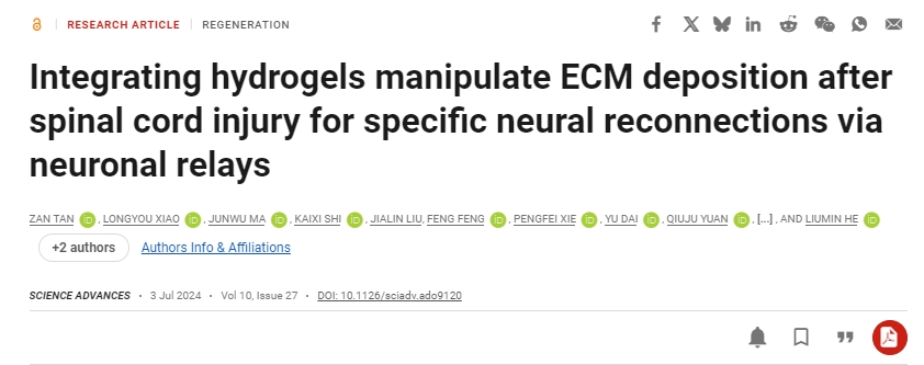 整合水凝膠可控制脊髓損傷后的ECM沉積，從而通過(guò)神經(jīng)元中繼實(shí)現特定的神經(jīng)重新連接