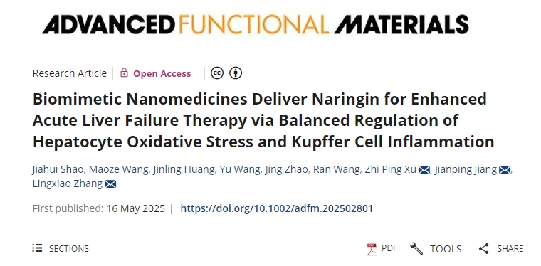 仿生納米藥物遞送柚皮苷，通過(guò)平衡調節肝細胞氧化應激和庫普弗細胞炎癥來(lái)增強急性肝衰竭治療
