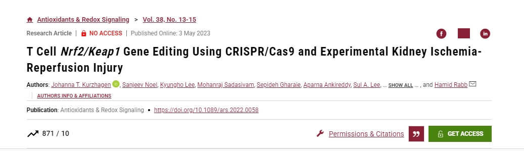 利用CRISPR/Cas9進(jìn)行T細胞
Nrf2/Keap1基因編輯和實(shí)驗性腎臟缺血-再灌注損傷