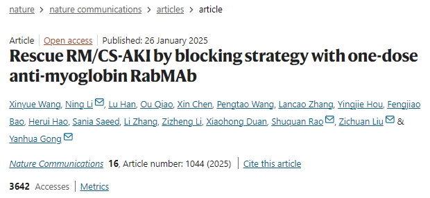 通過(guò)單劑量抗肌紅蛋白RabMAb阻斷策略挽救橫紋肌溶解癥或擠壓綜合征相關(guān)急性腎損傷