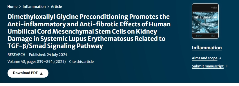 二甲基草酰甘氨酸預處理促進(jìn)人臍帶間充質(zhì)干細胞對系統性紅斑狼瘡腎臟損傷的抗炎和抗纖維化作用與TGF-β/Smad信號通路相關(guān) 二甲基草酰甘氨酸預處理促進(jìn)人臍帶間充質(zhì)干細胞對系統性紅斑狼瘡腎臟損傷的抗炎和抗纖維化作用與TGF-β/Smad信號通路相關(guān)
