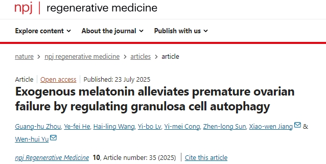 外源性褪黑素通過(guò)調控顆粒細胞自噬緩解卵巢早衰的機制研究 外源性褪黑素通過(guò)調控顆粒細胞自噬緩解卵巢早衰的機制研究