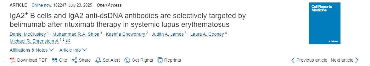 利妥昔單抗治療系統性紅斑狼瘡后，貝利木單抗可選擇性靶向IgA2 + B 細胞和 IgA2 抗 dsDNA 抗體