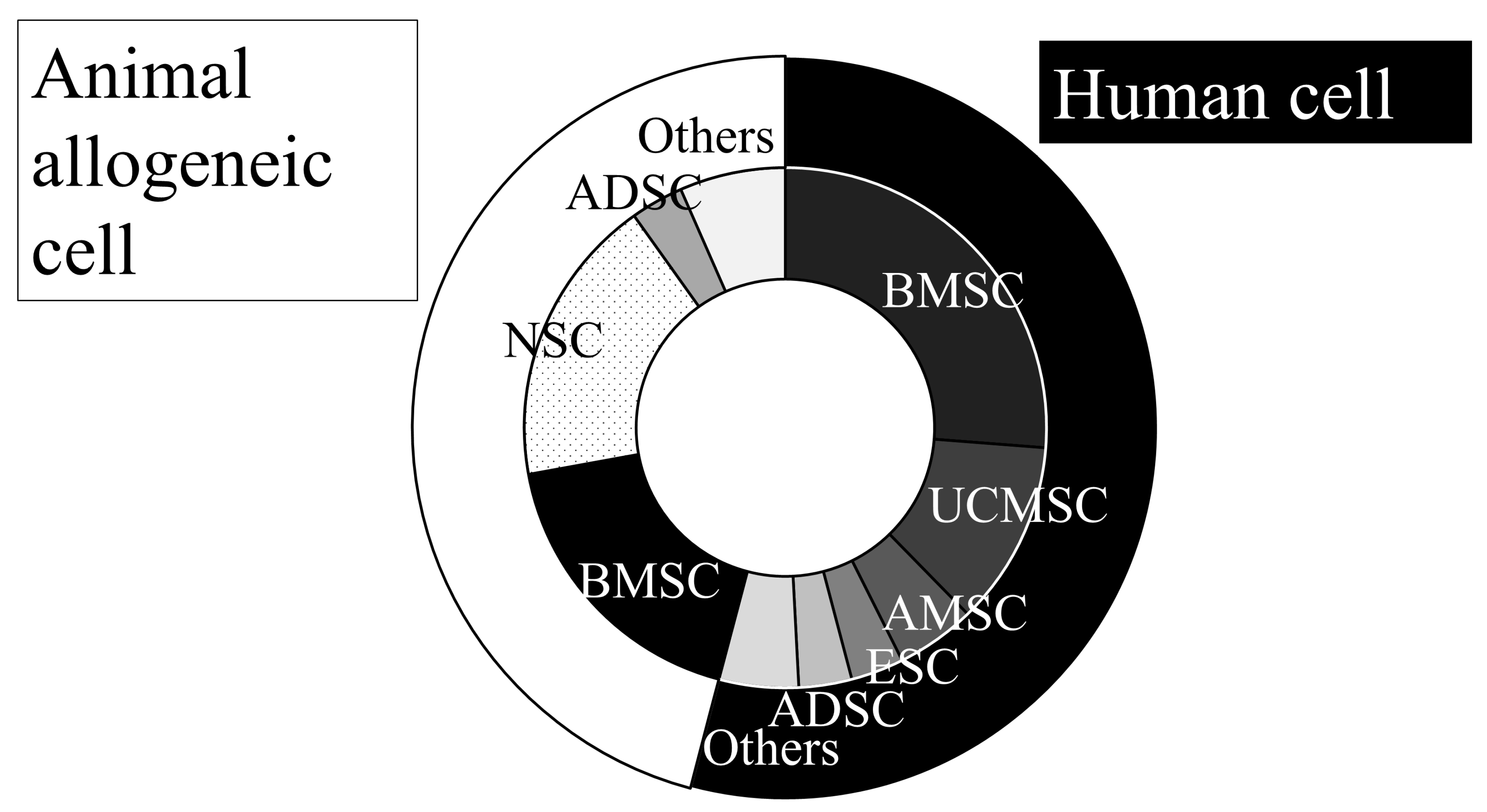 圖1：動(dòng)脈內移植動(dòng)物實(shí)驗所用的細胞來(lái)源。
