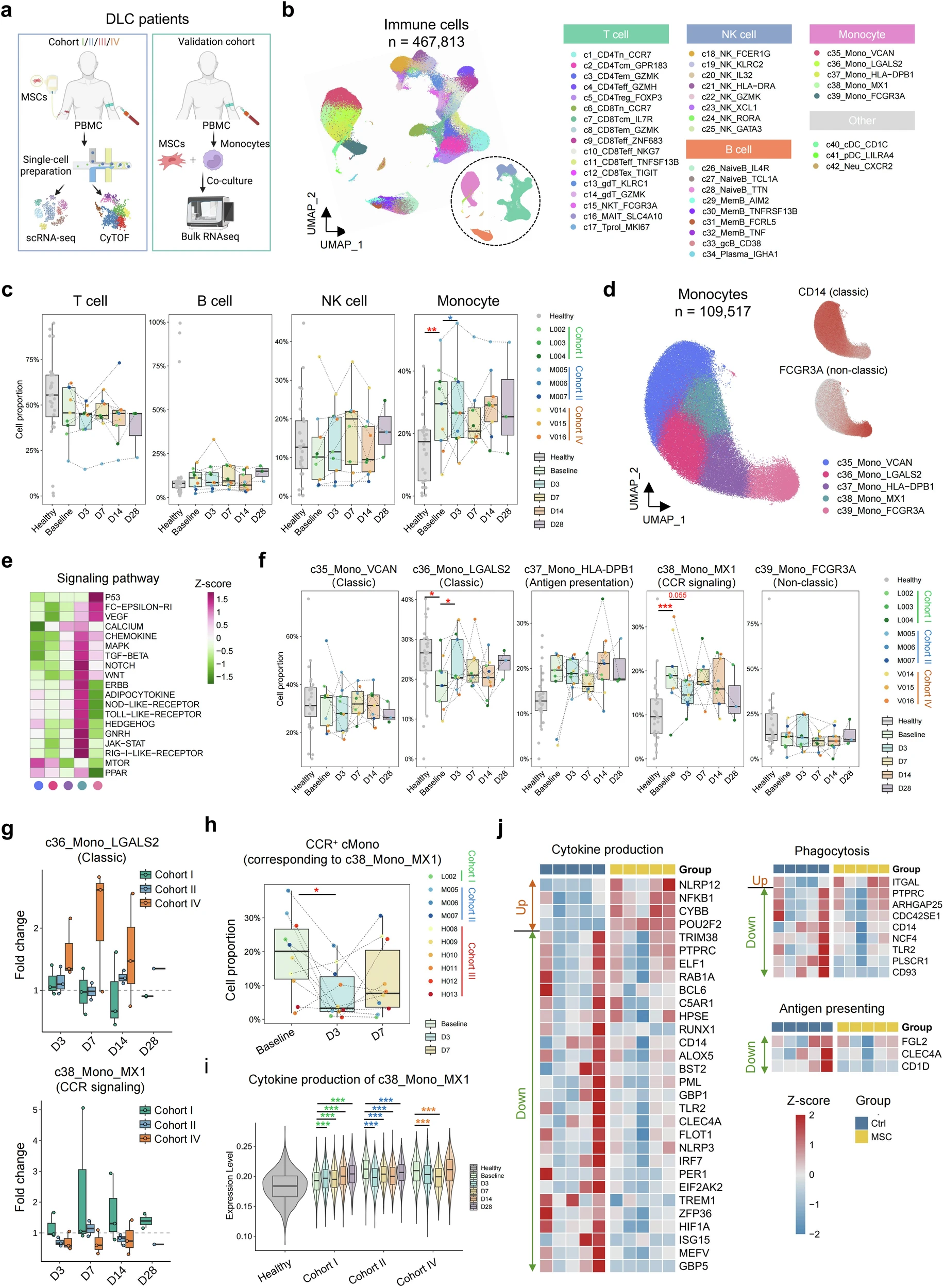 圖3：MSC治療下DLC患者的動(dòng)態(tài)單細胞景觀(guān)