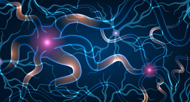 神經(jīng)干細胞移植效果如何？2025最新臨床進(jìn)展與患者案例深度解析