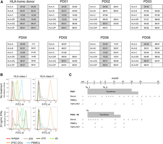 圖1：供體細胞和受體的HLA特征及免疫抑制方案