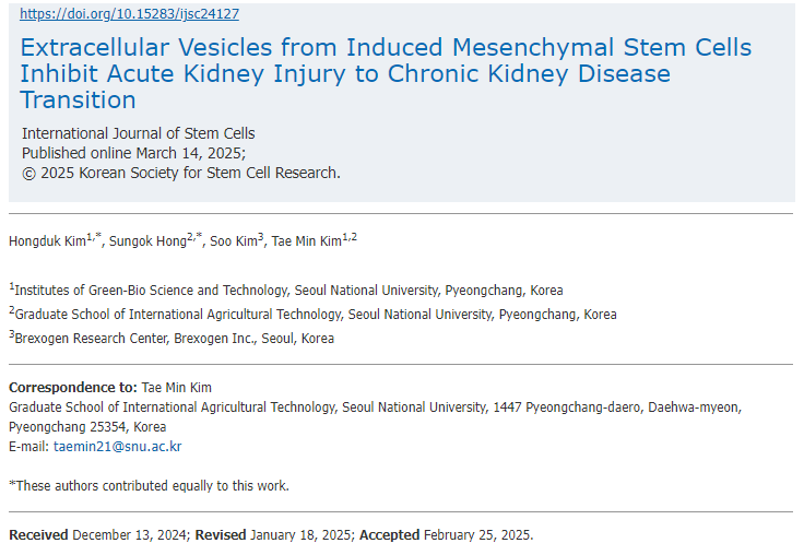 誘導間充質(zhì)干細胞的細胞外囊泡抑制急性腎損傷向慢性腎病的轉變
