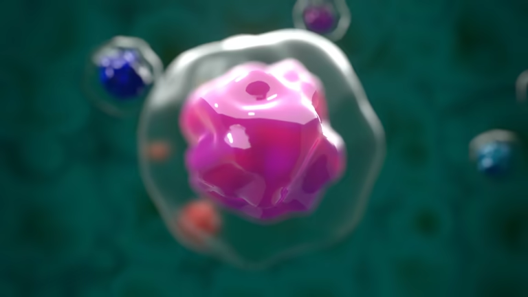 重磅解讀：干細胞如何修復1型糖尿??？3大核心作用機制全解析