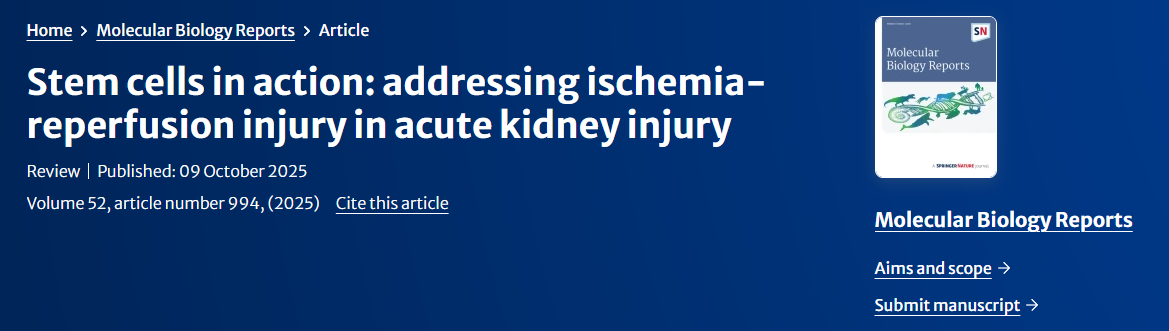 干細胞在治療急性腎損傷中的缺血再灌注損傷中的作用