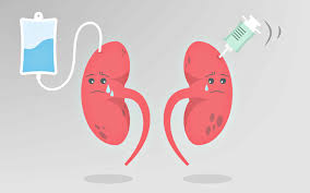 干細胞療法：急性腎損傷的治療新策略，3大作用改善患者預后 | 研究綜述